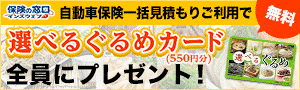 保険の窓口 インズウェブ 自動車保険一括見積もりご利用で 選べるグルメカード550円分 全員にプレゼント!