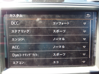 ステアリングやエンジンの出力など細かく特性変更できる。DCCをコンフォートにすればファミリーユースでもまったく問題なし