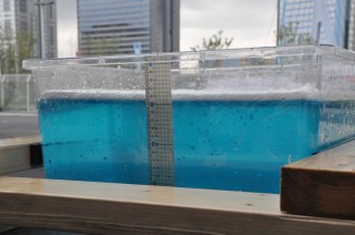 バケツの中になみなみと水が入っている
