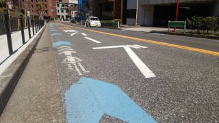 東京港区の赤坂御所の周辺の片側1車線の道路にもナビラインが設けられていた