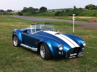 cobra
