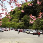 【画像】100台の名車が集う「マロニエ・オートストーリ『春』ミーティング」 〜 画像2