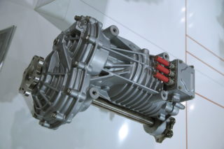 zf_evd1