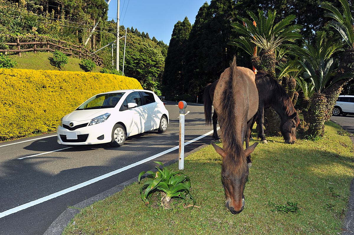 エンジンの馬力とはどのぐらいの力なのか