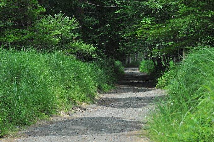 じつまだ日本も沢山ある 普通のクルマで砂利道を延々走っても大丈夫 自動車情報 ニュース Web Cartop