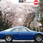 【画像】春の東京に約40台の名車が出現！　通行人も驚く「THE 銀座RUN 」開催 〜 画像13