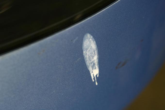 当て逃げ いたずら 鳥糞などから愛車を守る駐車のコツとは 自動車情報 ニュース Web Cartop