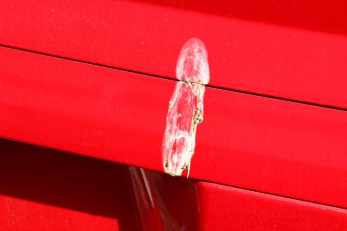 クルマのボディの鳥糞は除去しないと落ちないシミに その正しい方法とは 自動車情報 ニュース Web Cartop クルマのボディの鳥糞は除去しないと落ちないシミに その正しい方法とは 自動車情報 ニュース Web Cartop