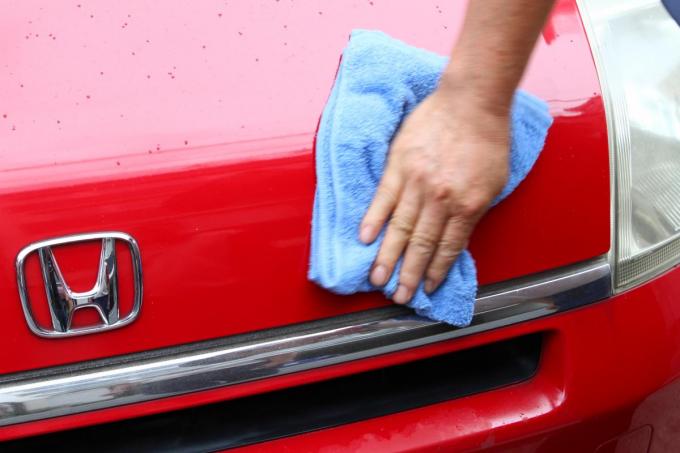 クルマのボディに付着した虫はどう除去するのが正解 自動車情報 ニュース Web Cartop