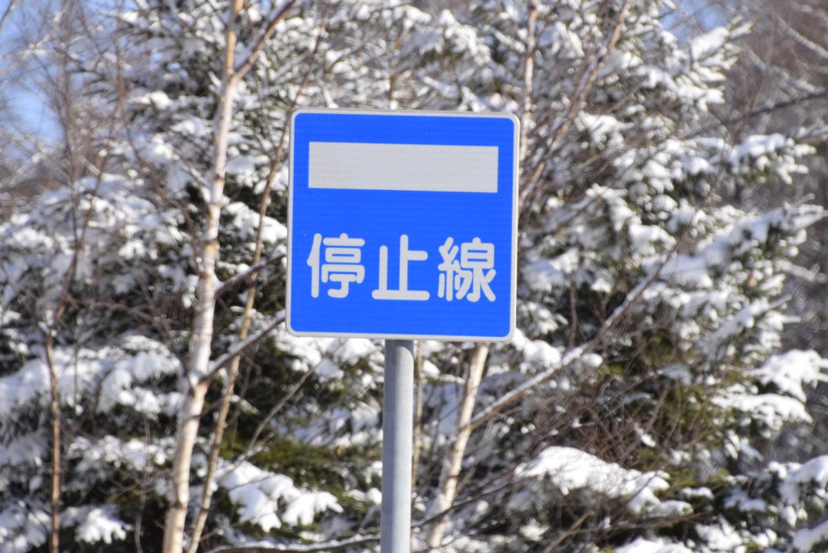 降雪地域 〜 画像5