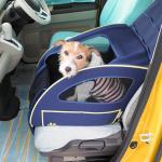 【画像】愛犬家でも知らない本当に安全＆快適な愛犬とのドライブ術 〜 画像12