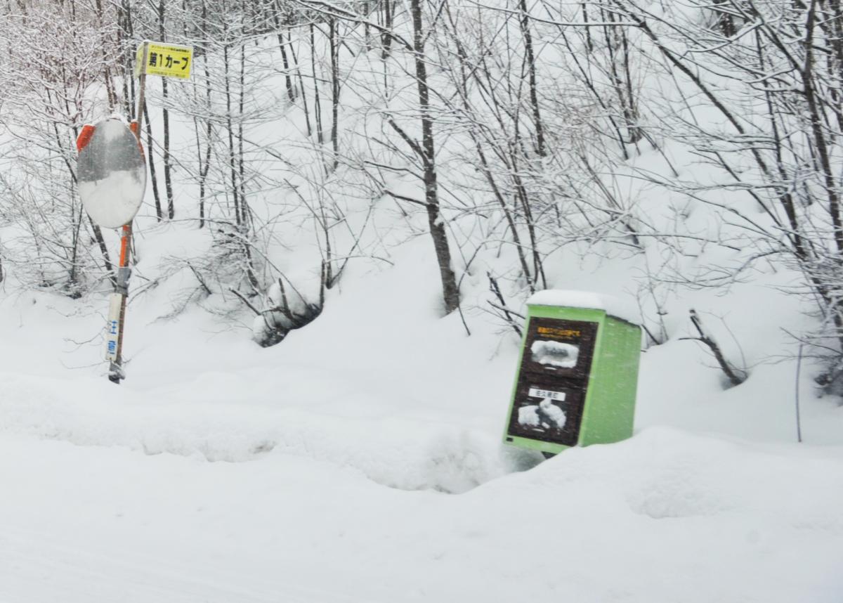 雪道 〜 画像4