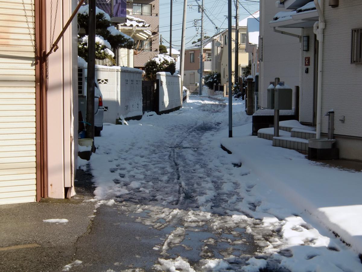 関東降雪 〜 画像12