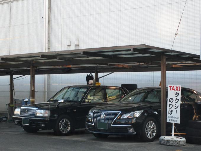 タクシー会社の車庫には野良ネコが住み着く ネコにとってパラダイスな理由とは 自動車情報 ニュース Web Cartop