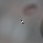 【画像】飛び石でガラスにヒビが入ったときに必要な応急処置とは 〜 画像4