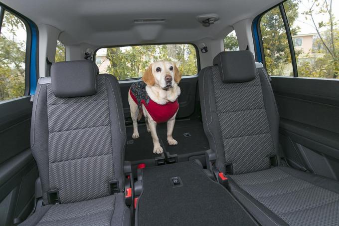 犬の車への乗せ方とは 車の選び方とおすすめ車６台 自動車情報 ニュース Web Cartop