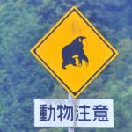 覚えてない人多数 教習所の教本以来ほとんど見かけないレアな標識10選 自動車情報 ニュース Web Cartop