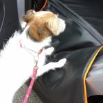 【画像】愛犬の快適ドライブを実現！　究極の後席用ベッドが誕生 〜 画像4