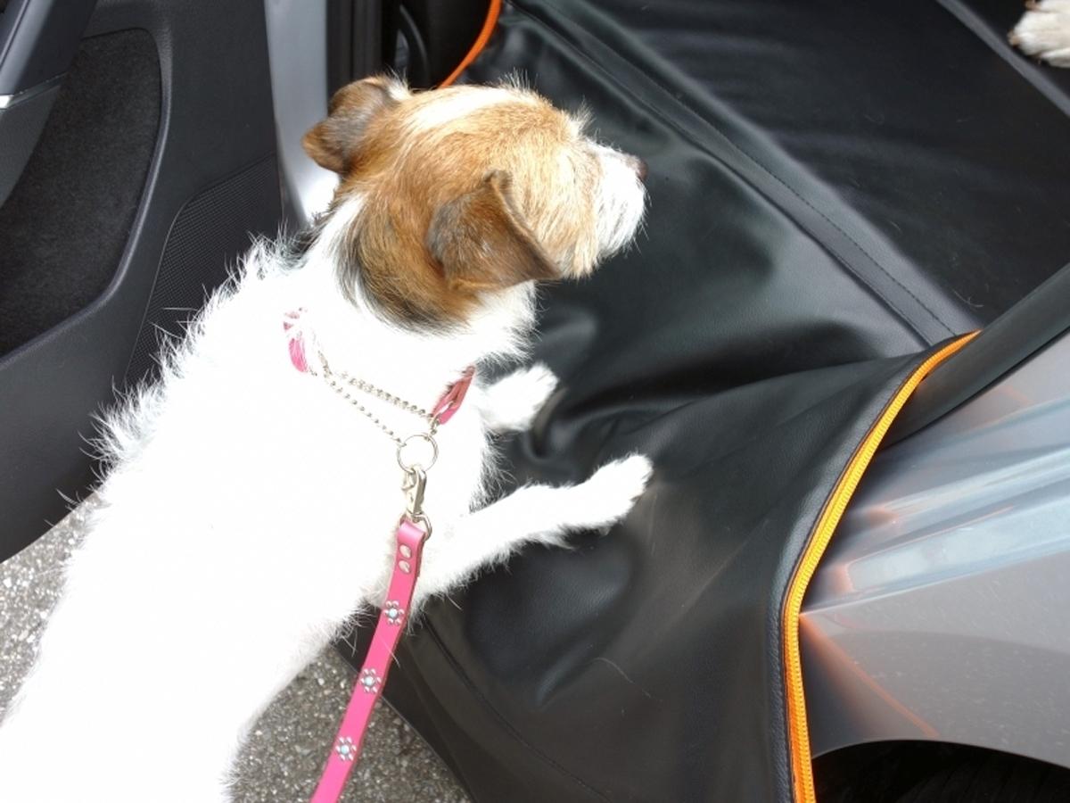 愛犬の快適ドライブを実現 究極の後席用ベッドが誕生 自動車情報 ニュース Web Cartop 2ページ目