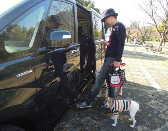 愛犬家でも間違っている人多数 ワンコが安全かつ快適にドライブできるために覚えておくこと8つ 自動車情報 ニュース Web Cartop 愛犬家でも間違っている人多数 ワンコが安全かつ快適にドライブできるために覚えておくこと8つ 自動車情報 ニュース Web Cartop