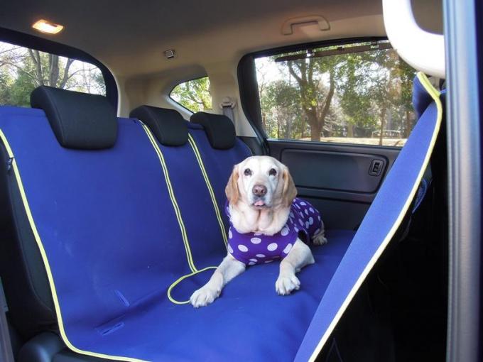 愛犬家でも間違っている人多数 ワンコが安全かつ快適にドライブできるために覚えておくこと８つ 自動車情報 ニュース Web Cartop