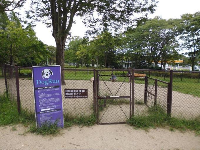犬と車でドライブするとき窓から顔を出させてok 乗せ方など違反になる行為とは 自動車情報 ニュース Web Cartop 犬と車でドライブするとき窓から顔を出させてok 乗せ方など違反になる行為とは 自動車情報 ニュース Web Cartop