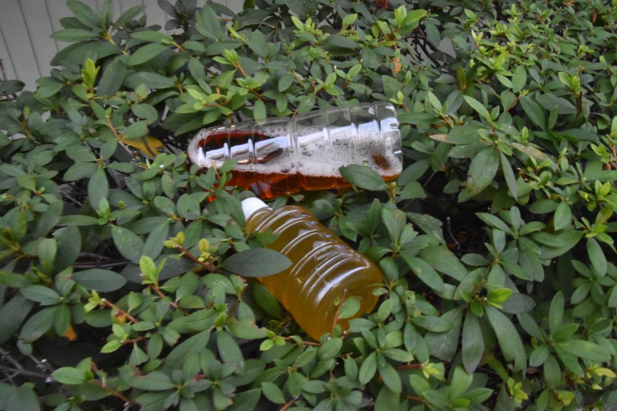 中央分離帯の茂みによく落ちている「飲みかけのペットボトル」の正体とは
