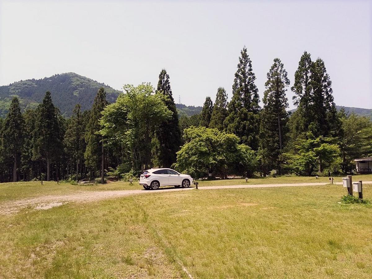 密を避けたリフレッシュならクルマでアウトドアしかない だが車内にまで侵入してくる 虫刺され 対策はどうする 自動車情報 ニュース Web Cartop