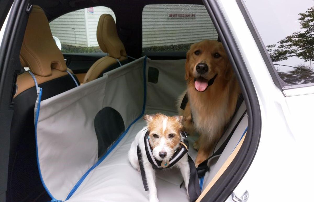 愛犬にも圧倒的な 安全 と 安心 を ボルボ純正の ドッグベッド が凄かった 自動車情報 ニュース Web Cartop