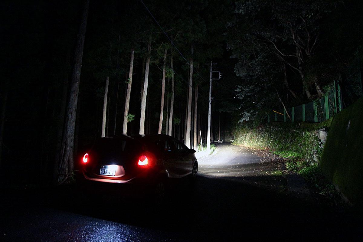 秘境の夜道 〜 画像6