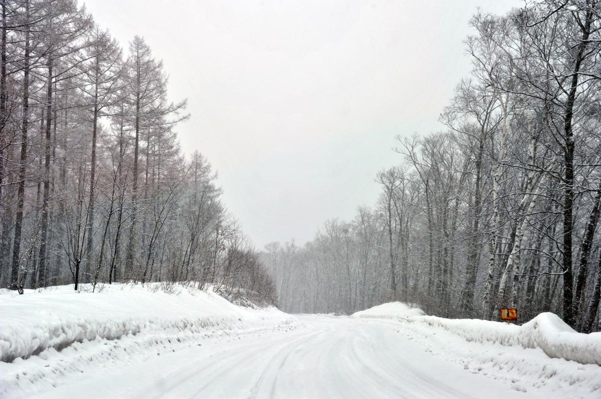 大雪で事前に高速道路を通行止めにできない理由 〜 画像5