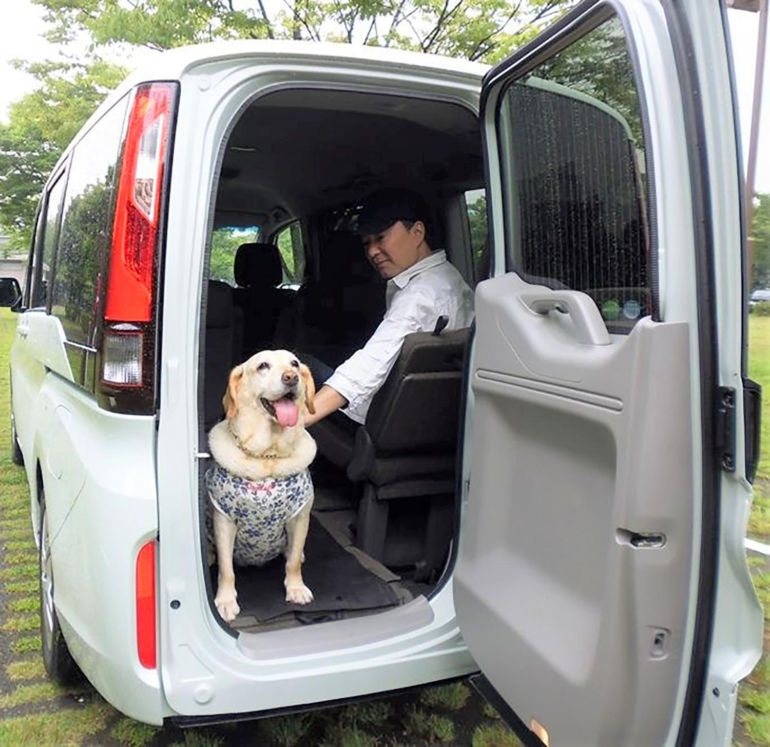 縦開き 横開き 観音開きにガラスだけ開き 本当に便利なクルマの リヤハッチ はどのタイプ 写真4 Goo 自動車