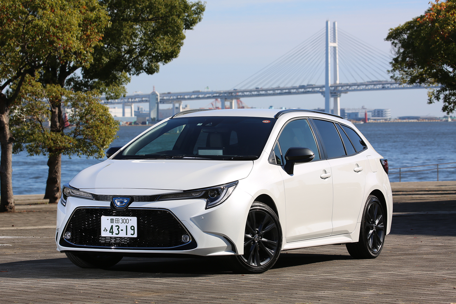 普通車のサイズに上限はないのか