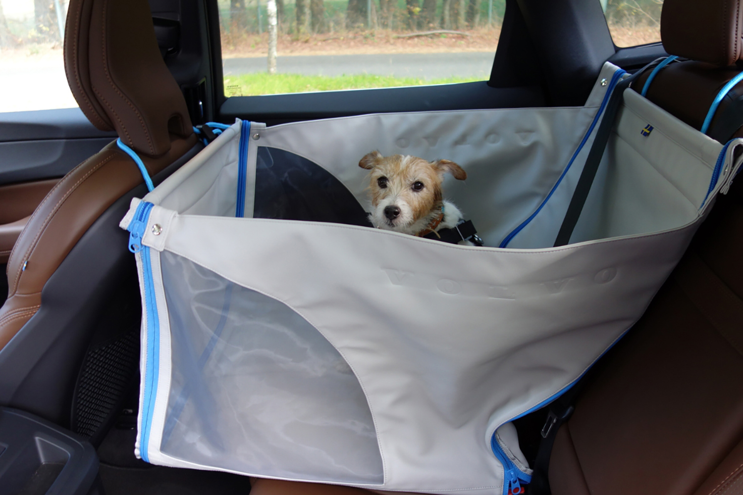 快適で安全な愛犬とのドライブの楽しみ方 〜 画像18