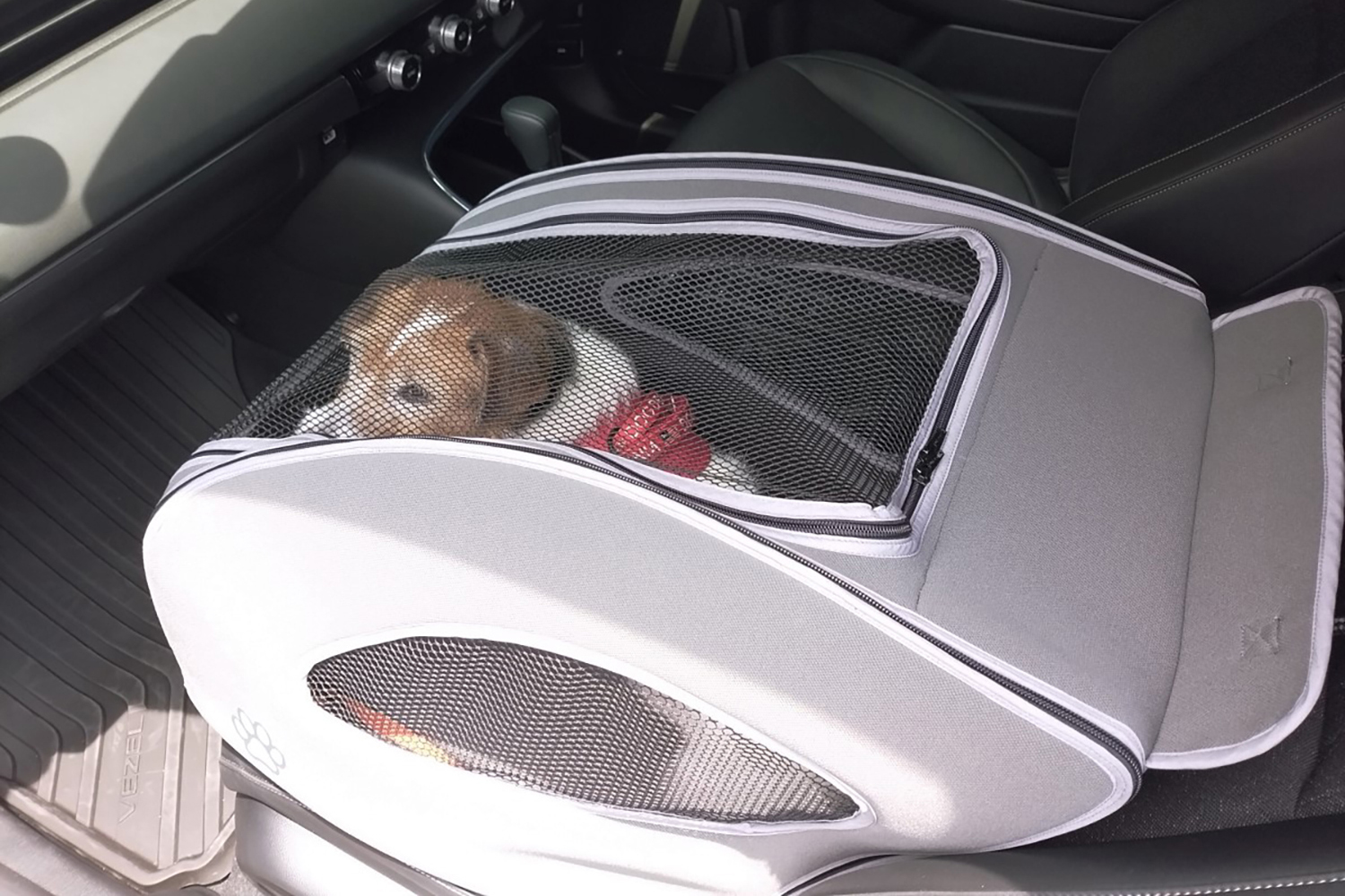 ドライブ中の助手席に愛犬を乗せる方法 〜 画像6