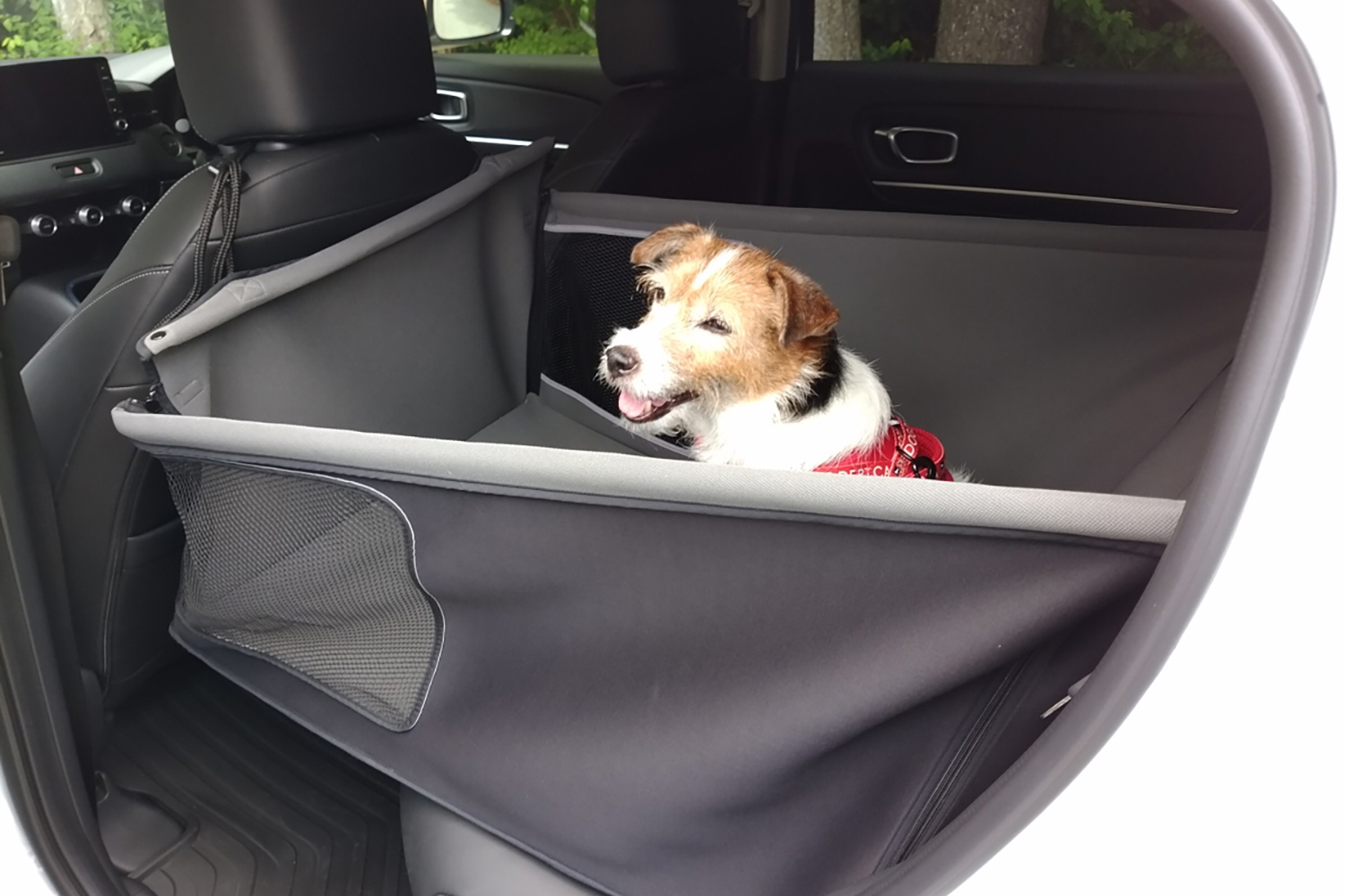 快適で安全な愛犬とのドライブの楽しみ方 〜 画像7
