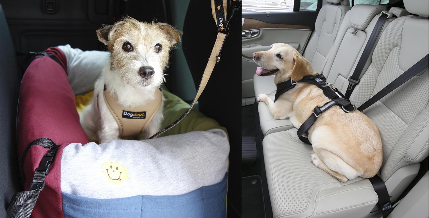 ドライブ中の後席への愛犬の載せ方 〜 画像8