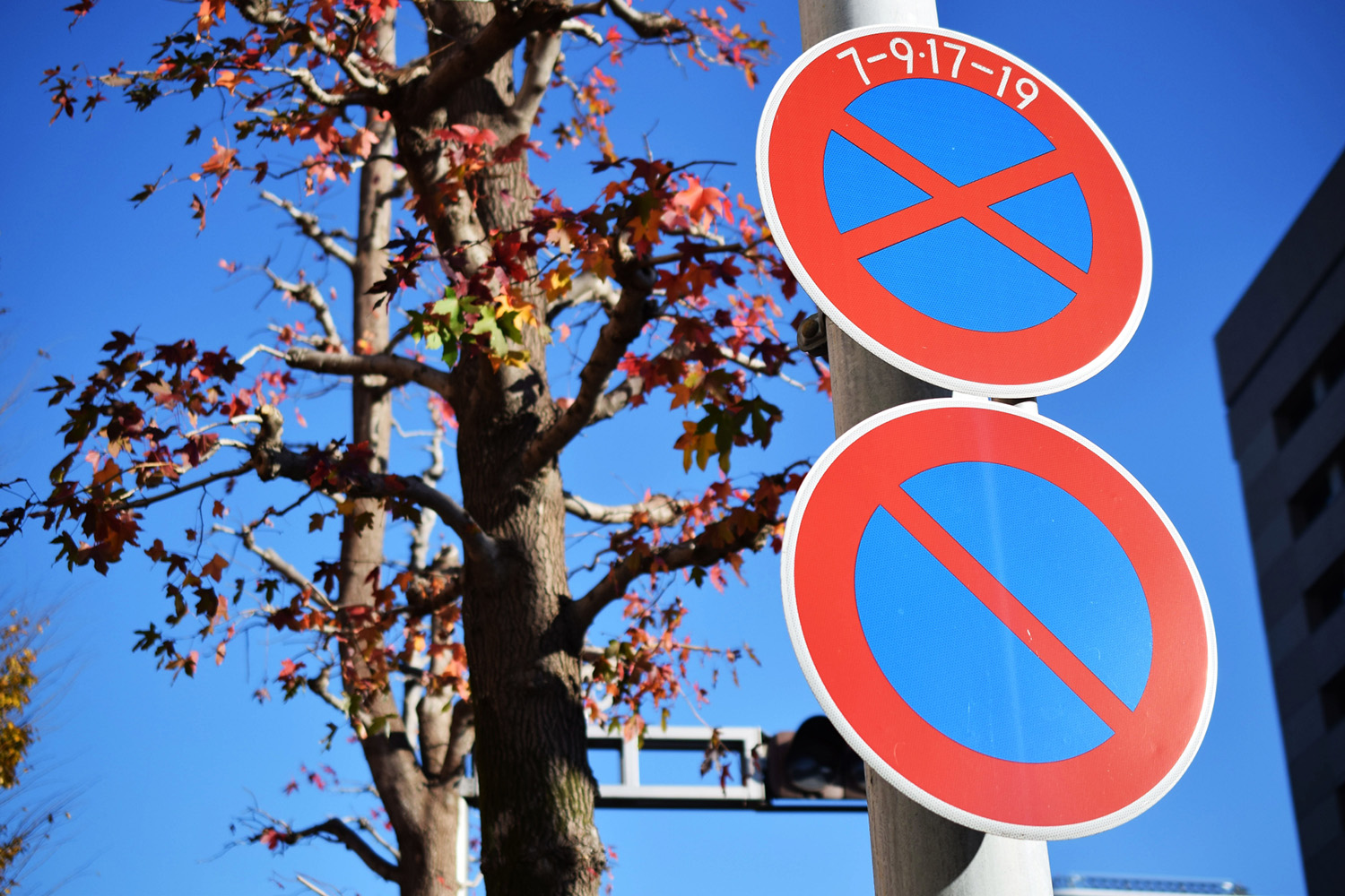 駐停車禁止の標識 〜 画像3