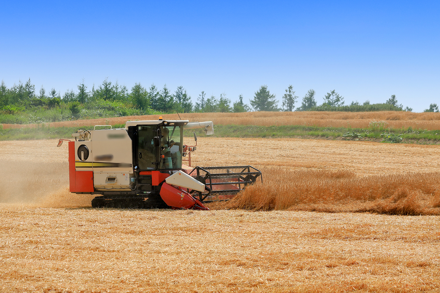 トラクターで収穫をする麦畑