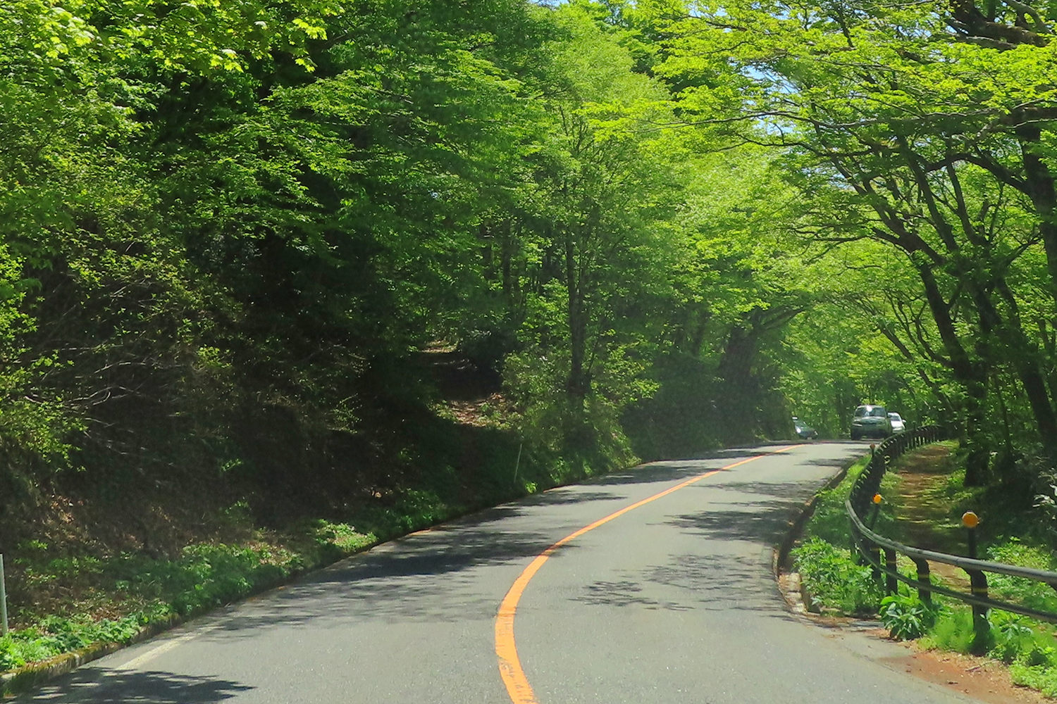 白と黄色の実線はセンターラインと車線でルールが異なる!? とにかく黄色は踏んじゃダメと覚えとけ | 自動車情報・ニュース WEB CARTOP