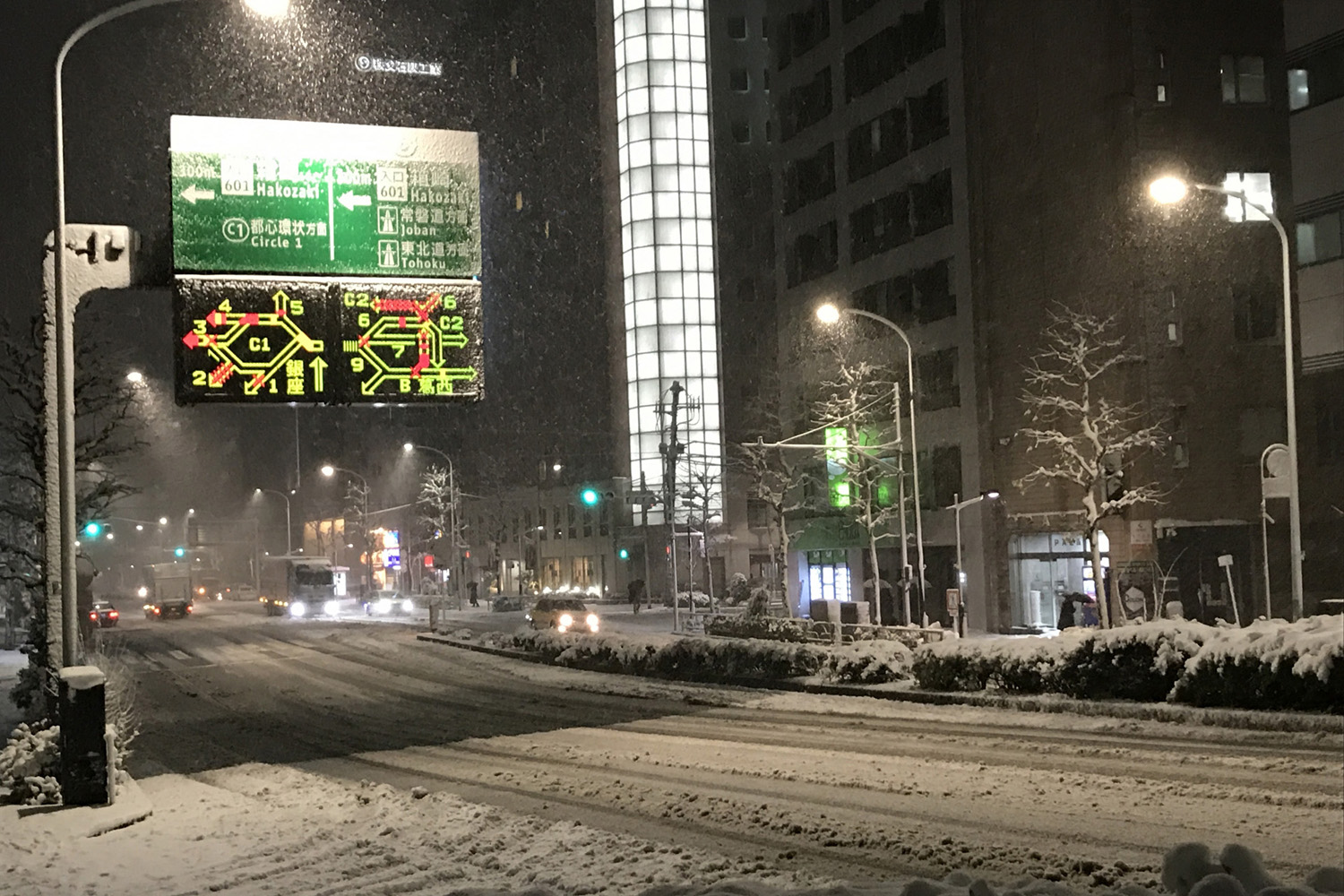 雪の日の東京 〜 画像3