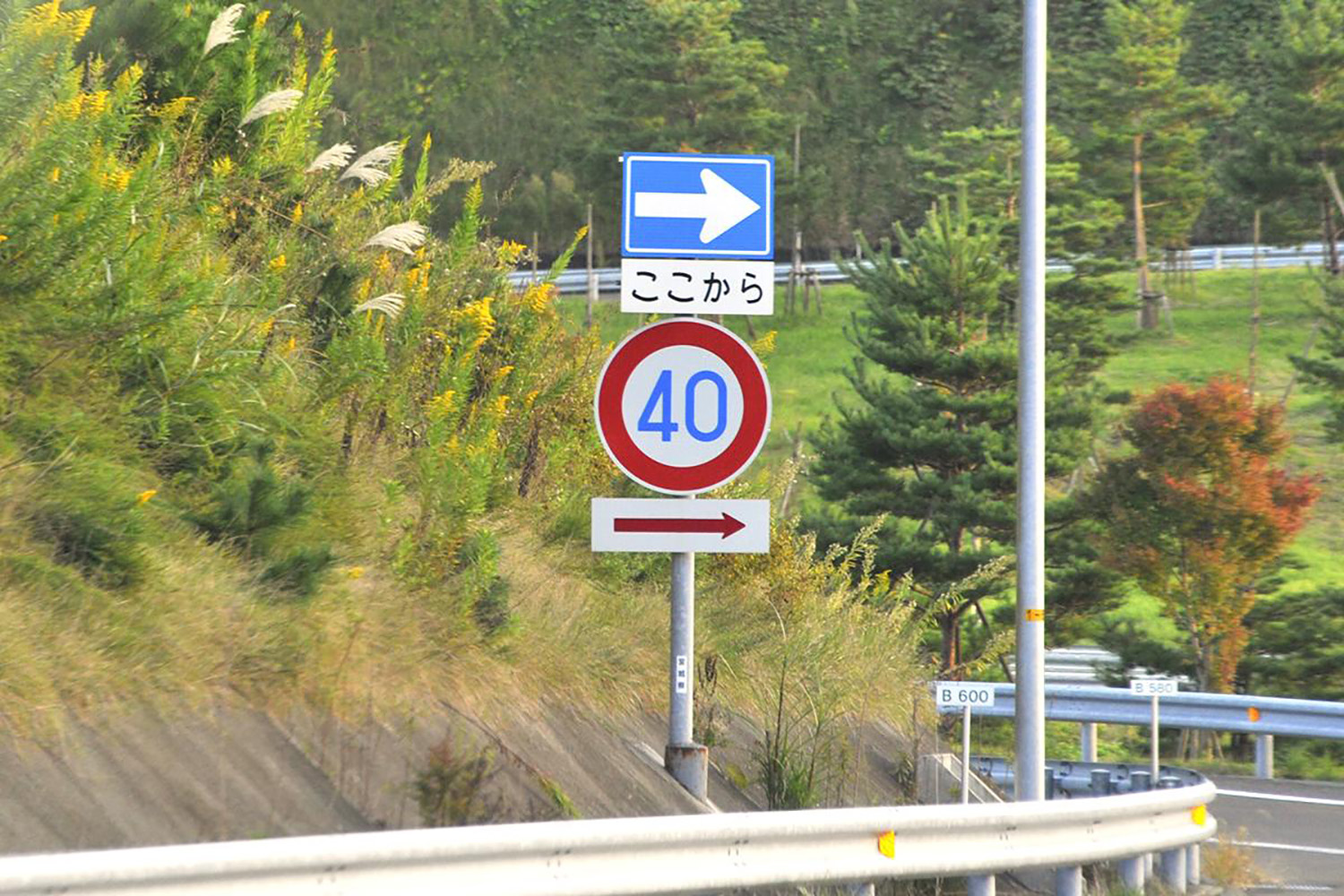 指定速度40km/hの標識