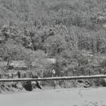 【画像】【試乗】舗装路も雨も雪も安心して走れるってステキ！　スバル車で1000kmオーバーの雪国ドライブ旅へ行ってみた 〜 画像31