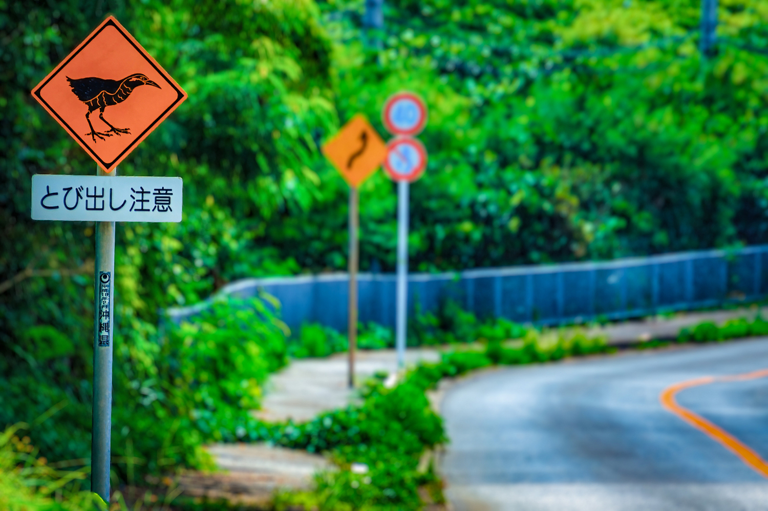沖縄の動物とび出し注意の標識