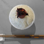 【画像】電気自動車なら米も炊けるぞっ！　ってわけでEVならではの旅の楽しみ方を提案！　WEB CARTOP編集部員が大阪→東京出張の間にSA・PAで「ご飯に合うおかず」を探して実食してみた 〜 画像28