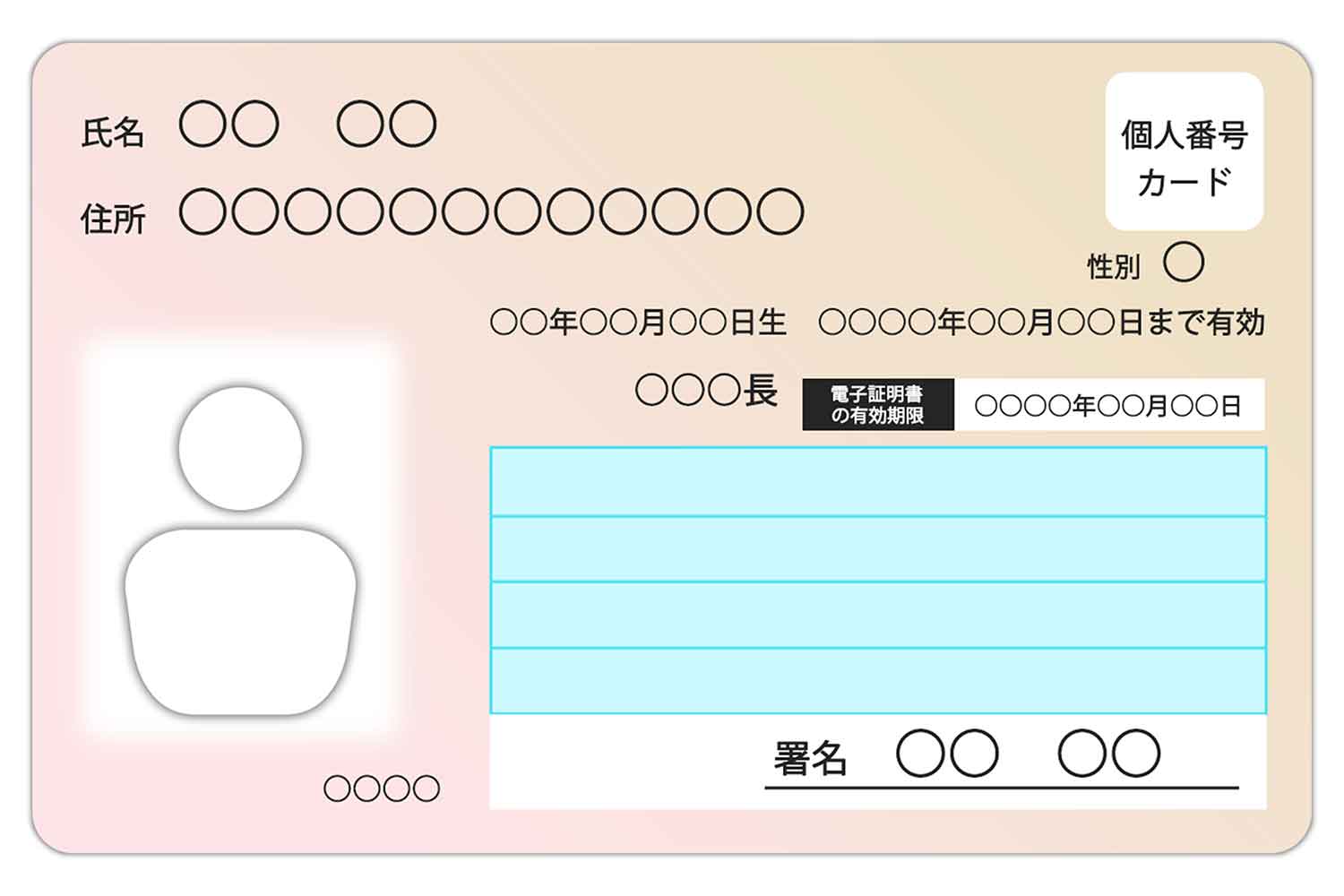 日本のマイナンバーカードのイメージ写真