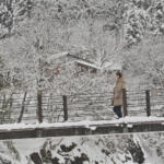 【画像】【試乗】雪道はもちろんドライ路でも雨でも安心！　ヨコハマのスタッドレスタイヤ「アイスガード７」で冬の北陸旅を満喫した 〜 画像59