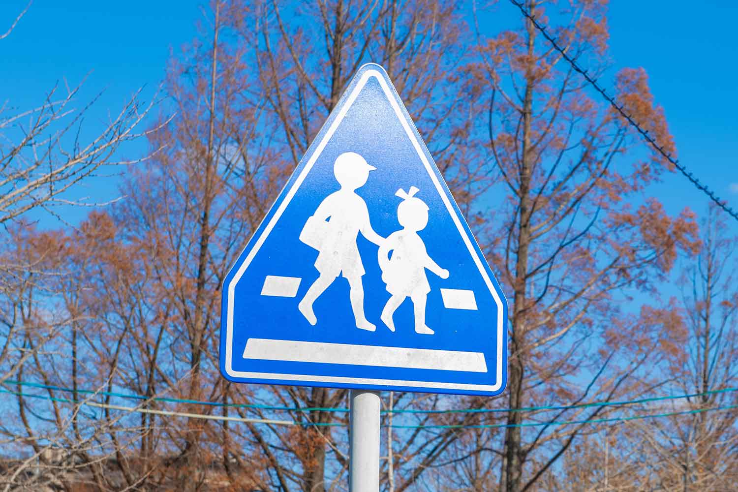 丸・三角・四角に赤・黄色・青！ 道路標識の色と形は重要度によってきちんと区別されていた | 自動車情報・ニュース WEB CARTOP