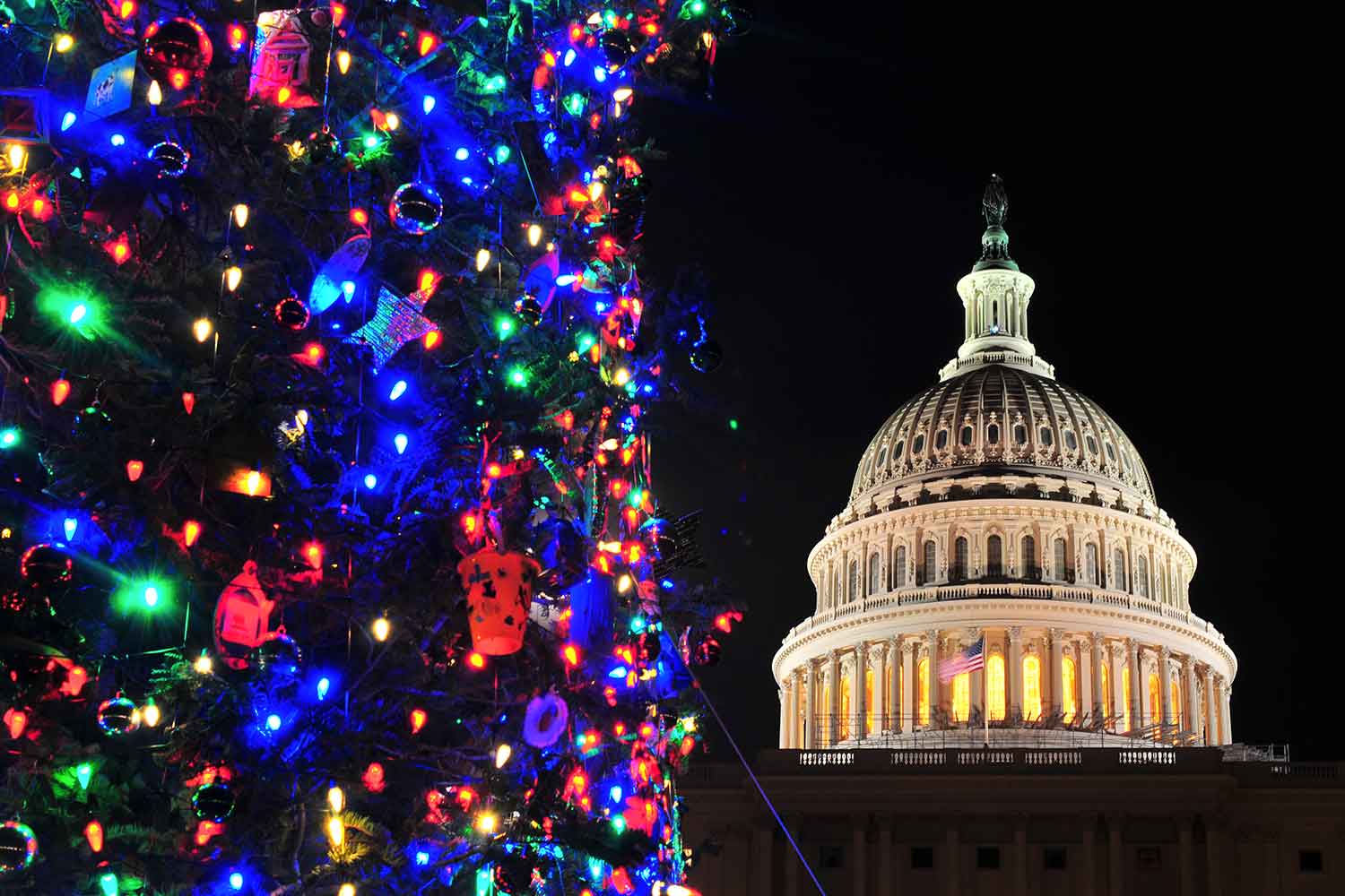 アメリカ議会とクリスマスのイルミネーション 〜 画像2