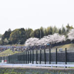 【画像】F1日本GPは春開催でどうなる……結果は心配なし！　桜満開の鈴鹿がみせた激熱の闘いをカタール航空のパドッククラブから観戦した 〜 画像48
